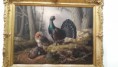 /album/kuvagalleria/a20190423-120935-jpg/